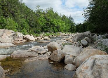Así es Katahdin Woods and Waters, el nuevo santuario de cielo nocturno de EU