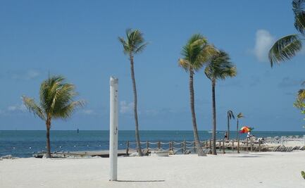 Arrestan a pareja con Covid-19 que violó la cuarentena en Florida 