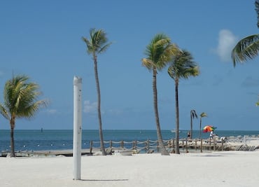 Arrestan a pareja con Covid-19 que violó la cuarentena en Florida