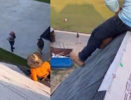 Migrantes trepan al techo de una casa para evitar arresto de ICE: "nos cayó la migra" VIDEO