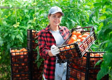 Buscan 155 migrantes para trabajar en el campo de Estados Unidos: Este es el salario y lugar