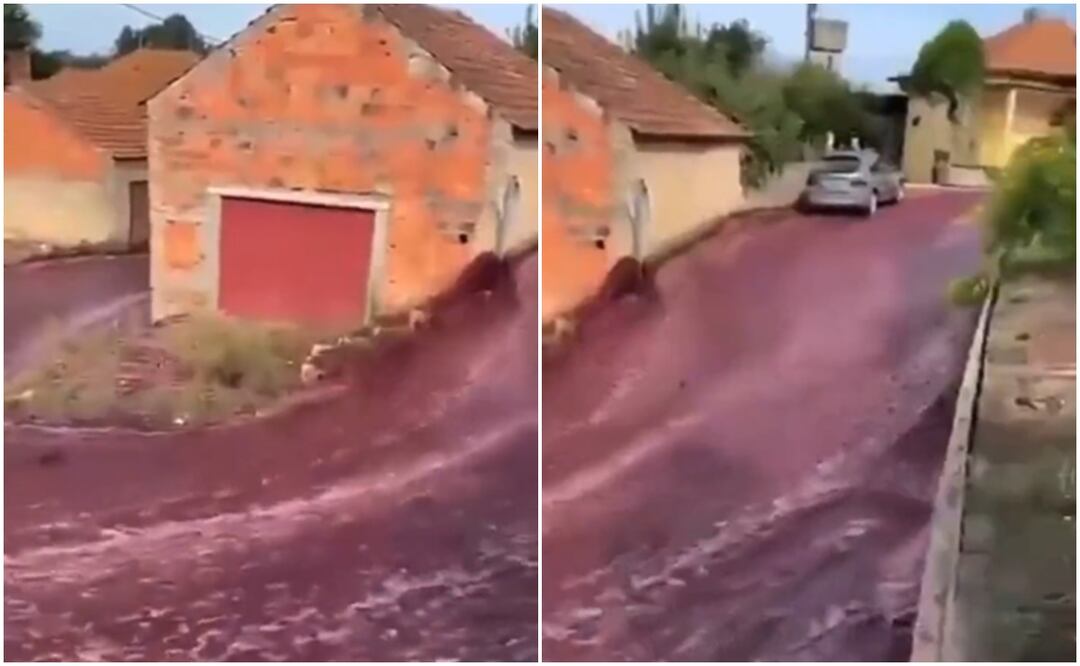 ¡Desgracia! Calles de Portugal se inundan de vino tras explosión de tanques en viñedo. Foto: X (Twitter)