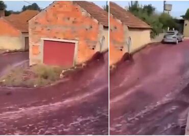 ¡Desgracia! Calles de Portugal se inundan de vino tras explosión de tanques en viñedo