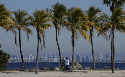 Ola de frío lleva los termómetros de Miami a marcas mínimas