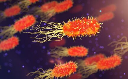 Melioidosis: un 'extraña' enfermedad del sur de Asia llega a EU