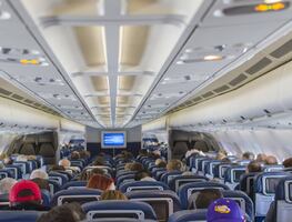 Por error, aerolínea manda a Arabia Saudita a perro que iba a Nashville