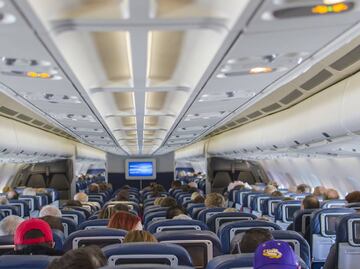 Por error, aerolínea manda a Arabia Saudita a perro que iba a Nashville