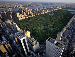 Los mejores 8 restaurantes cerca de Central Park en Nueva York