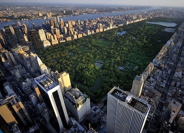 Los mejores 8 restaurantes cerca de Central Park en Nueva York