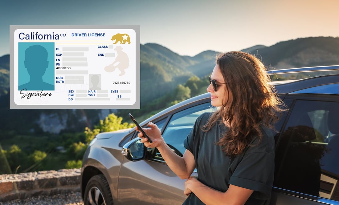 REAL ID/ Mariia Morozova