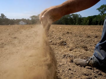 Cambio climático aumentó probabilidad de sequía "20 veces": investigación