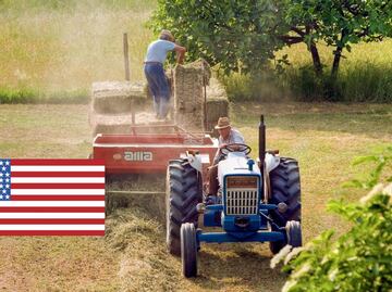 Los estados que contratan a más trabajadores agrícolas con la visa H-2A en EU