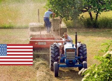 Los estados que contratan a más trabajadores agrícolas con la visa H-2A en EU