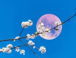 Luna Rosa, alineaciones planetarias y una lluvia de meteoros; el calendario astronómico de abril