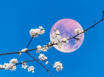 Luna Rosa, alineaciones planetarias y una lluvia de meteoros; el calendario astronómico de abril