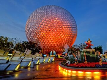 Emiten alerta de rabia en zona que incluye a Epcot de Disney