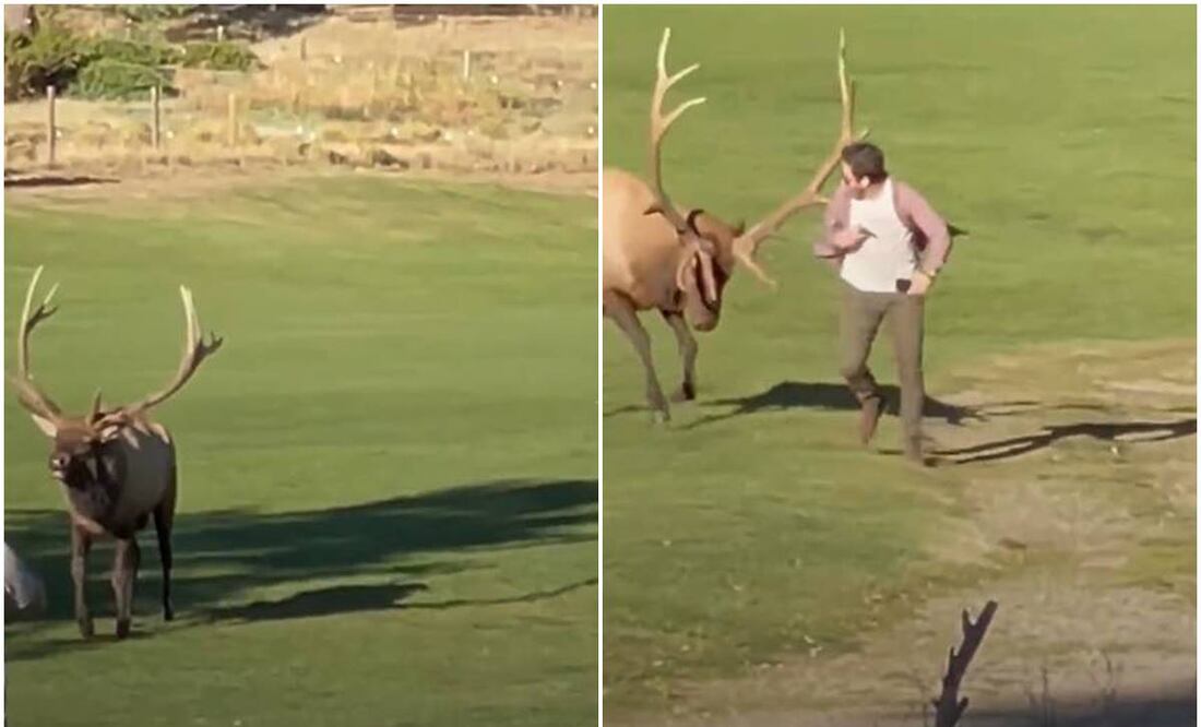 Foto tomada de video