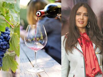 Así es Napa Valley, el ‘paraíso del vino’ que encantó a Salma Hayek