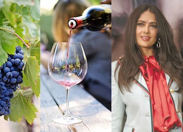 Así es Napa Valley, el ‘paraíso del vino’ que encantó a Salma Hayek