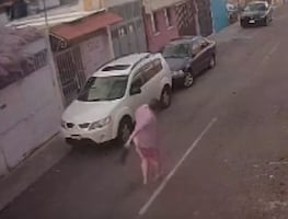 Hombre lanza a un gato sobre cables de luz y es despedido de su trabajo. VIDEO