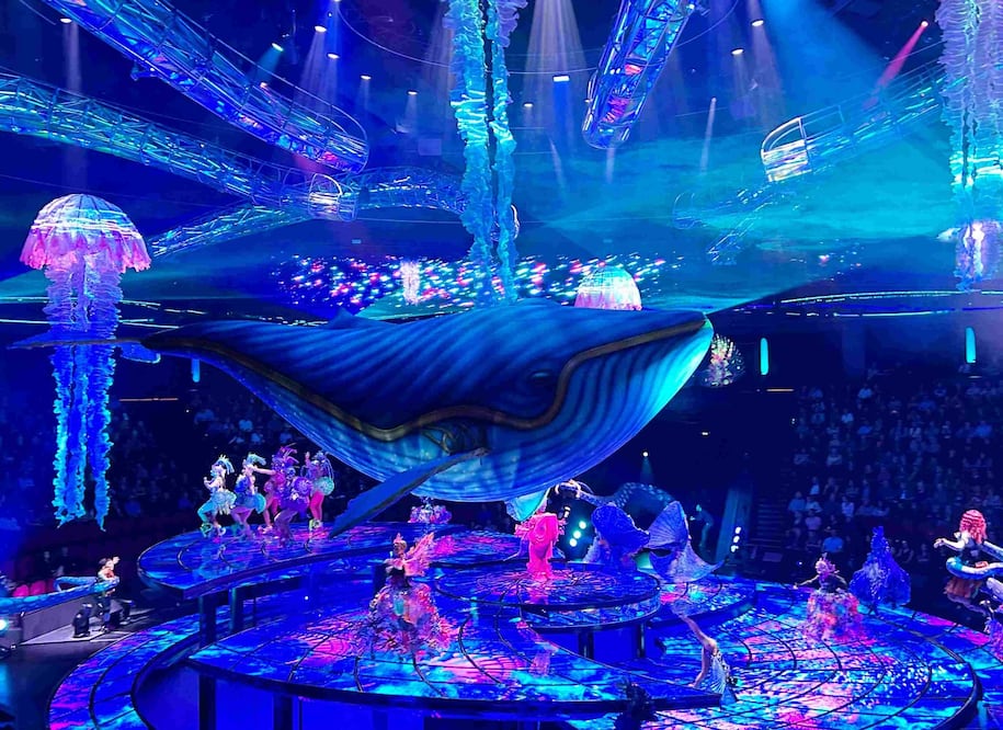 ‘Awakening’. Foto: Pamela Benítez/Vive USA