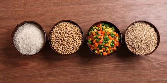 Alimentos que aumentan y disminuyen el riesgo de diabetes de tipo II