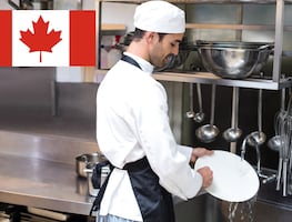 ¿Eres mexicano? Trabaja en Canadá como ayudante de cocina y lavaplatos: requisitos y cómo aplicar