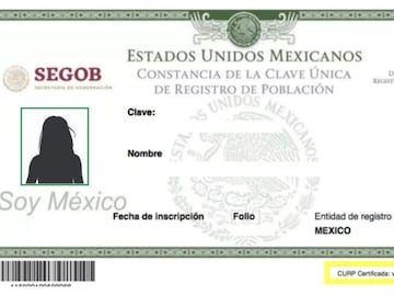 Nueva CURP con foto: Todo lo que debes saber para su trámite en México
