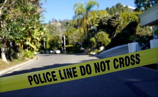 Acusan a mujer por dejar morir de calor a sus perros dentro de su auto 