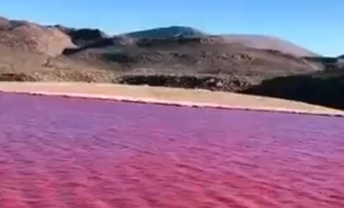 Río Nilo se pinta de rojo: ¿Contaminación o presagio bíblico? Foto: Screenshot @AlertaMundial19 en X.