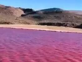 Río Nilo se pinta de rojo "apocalíptico"; usuarios ven "presagio bíblico". VIDEO