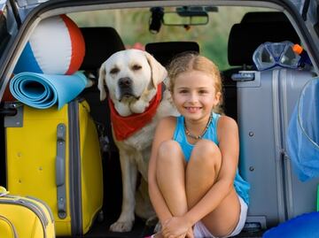 Recomendaciones para retornar de forma definitiva de EU a México