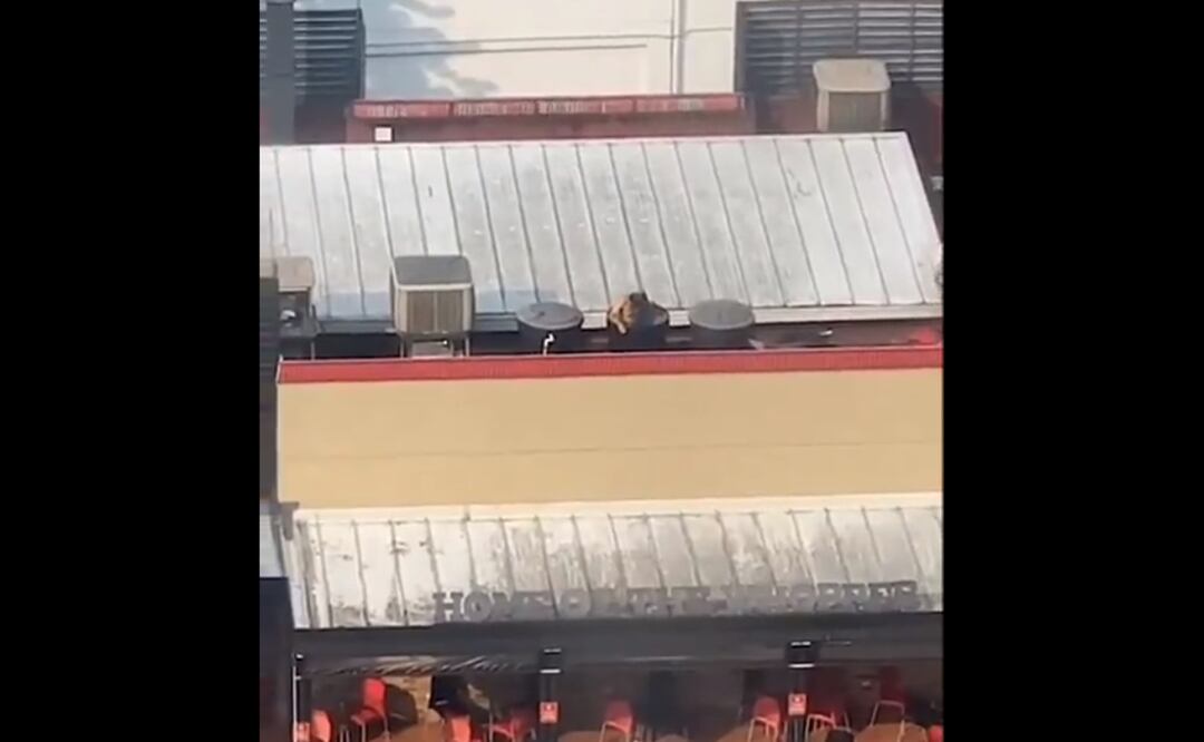 Cierra Burger King luego de que un hombre se bañara desnudo en tanque del restaurante. Foto tomada de Twitter