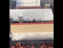 Cierra Burger King luego de que un hombre se bañó desnudo en tanque del restaurante. VIDEO