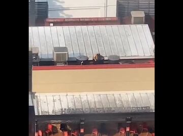 Cierra Burger King luego de que un hombre se bañó desnudo en tanque del restaurante. VIDEO