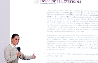 México pide en una carta a Google corregir lo que "erróneamente" llama 'Golfo de América'