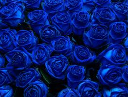 ¿Por qué se regalan flores azules el 3 de octubre a los novios?