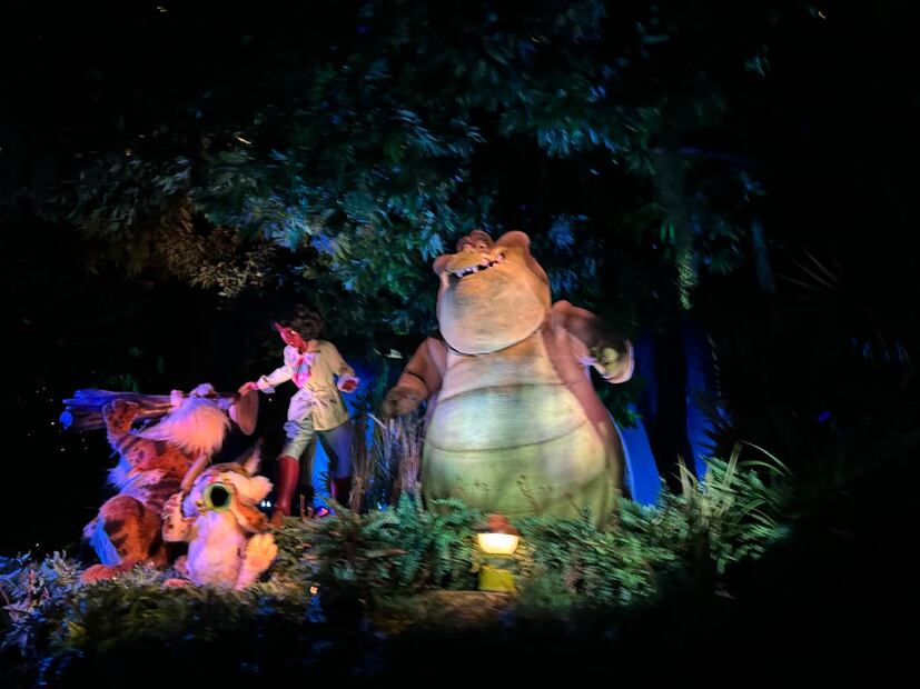 Tiana's Bayou Adventure/ Magic Kingdom