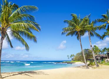 Aerolínea ofrecerá pruebas de Covid-19 para poder viajar a Hawái