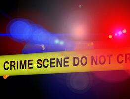 Modelo de OnlyFans asesinó a cuchilladas a su novio en Miami