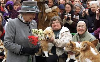 Precios de los perros corgi se disparan y rompen récords tras muerte de Isabel II