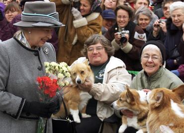 Precios de los perros corgi se disparan y rompen récords tras muerte de Isabel II