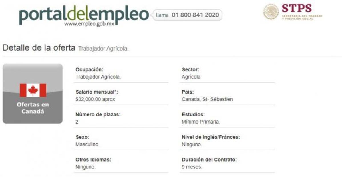 Canadá busca a trabajadores agrícolas mexicanos; ofrece $34,000  