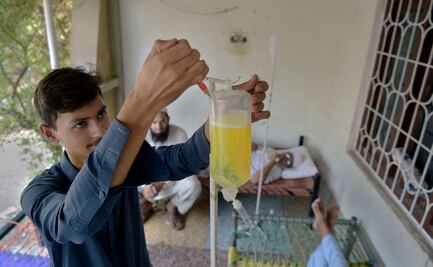 Desarrollan un potente antiviral contra el dengue