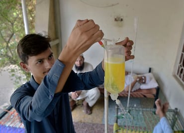 Desarrollan un potente antiviral contra el dengue