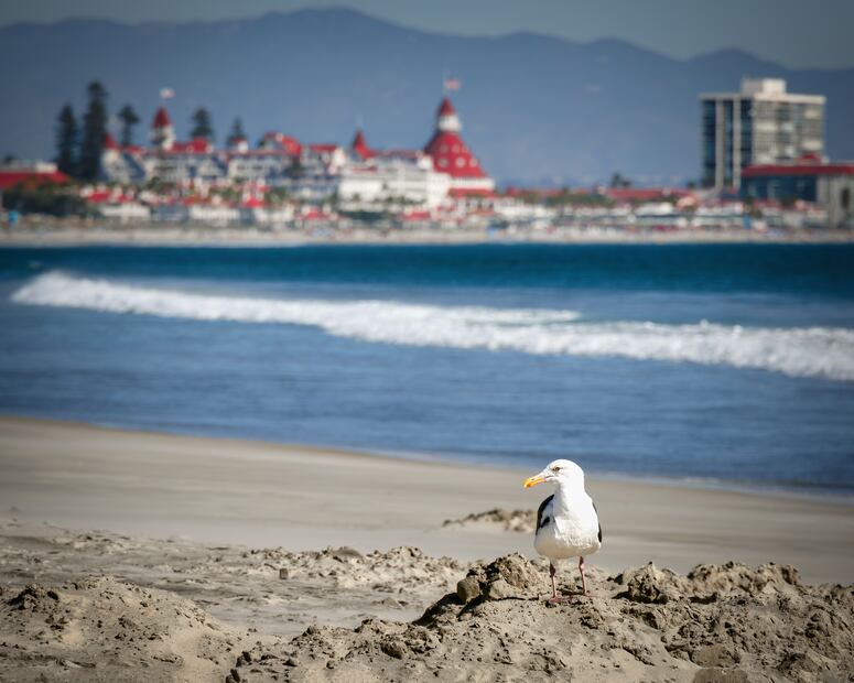 Coronado, California. iStock/Bill Chizek