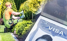 ¿Cuánto ganan los trabajadores con visa americana H‑2B? Sueldos promedio por ocupación
