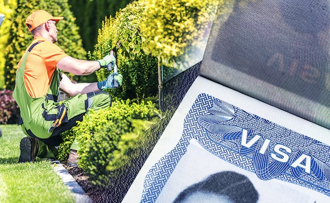 ¿Cuánto ganan los trabajadores con visa americana H‑2B? Sueldos promedio por ocupación