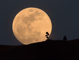 Superluna, lluvia de meteoritos y otras bellezas celestiales que habrá en agosto