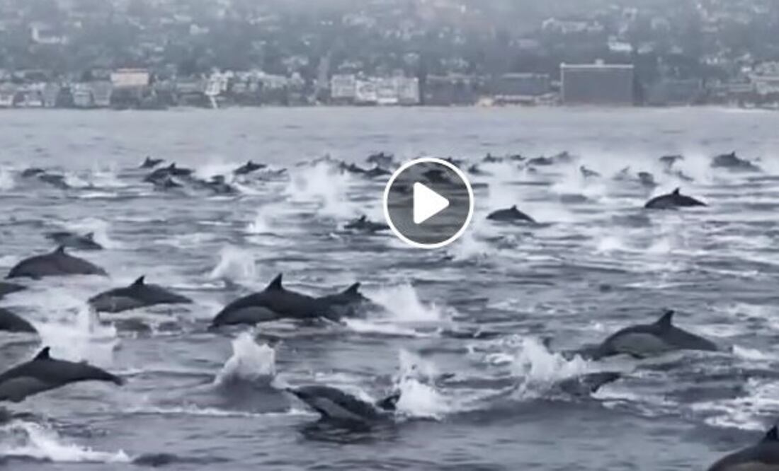 Captura de pantalla/ Instagram Chuck Patterson